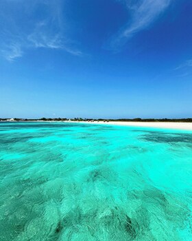 los roques