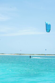 los roques