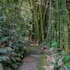 guaruja