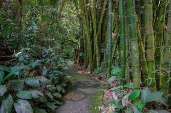 guaruja
