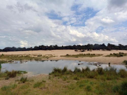 tent lodge near loonse and drunense dunes
