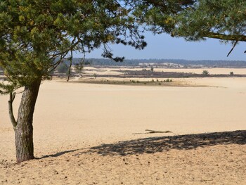 tent lodge near loonse and drunense dunes