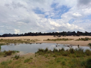 tent lodge near loonse and drunense dunes