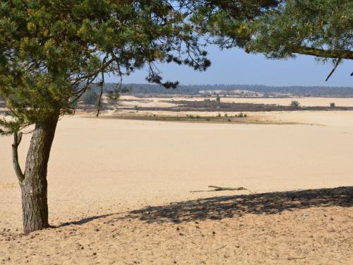 tent lodge near loonse and drunense dunes