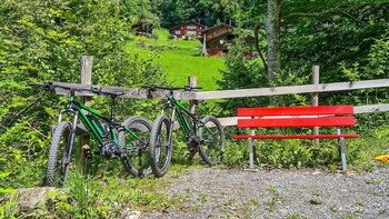parkhotel du sauvage