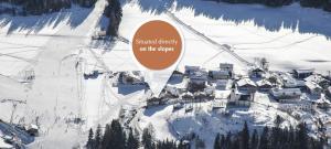 post alpina family mountain chalets