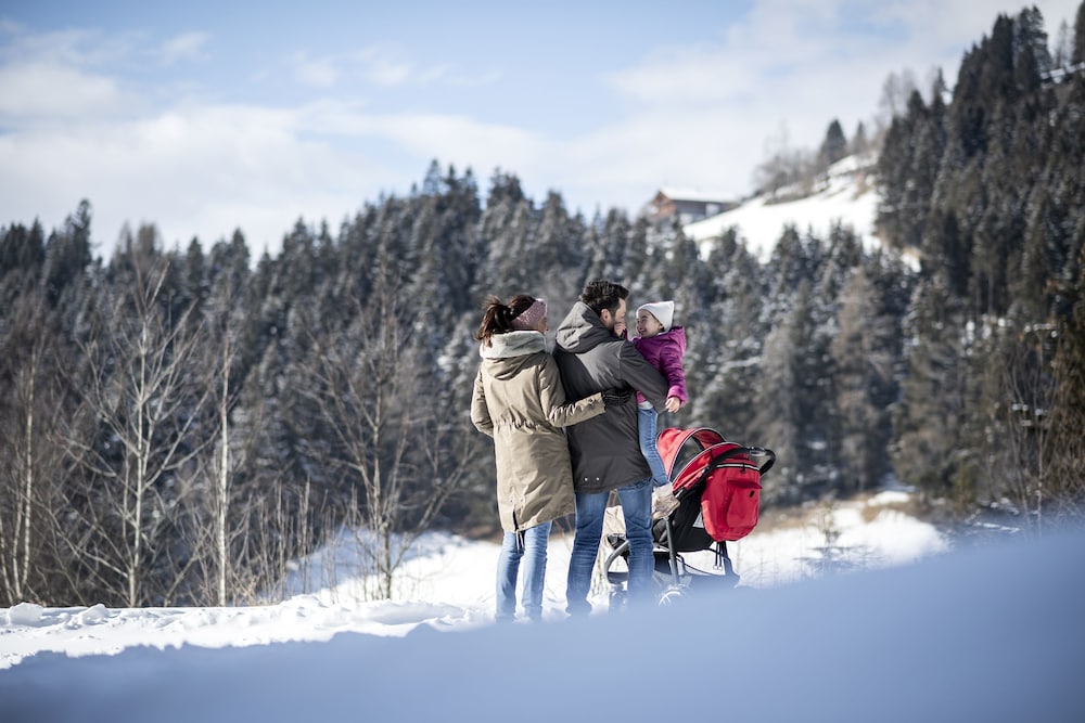 post alpina family mountain chalets