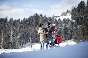 post alpina family mountain chalets