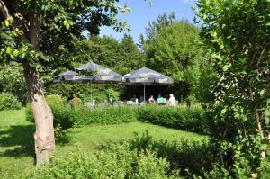 rennsteighotel herrnberger hof