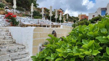 studio quiet and peaceful and very relaxing with kitchen shared pool and ac