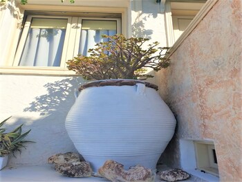 studio quiet and peaceful and very relaxing with kitchen shared pool and ac