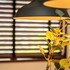 fujimi room
