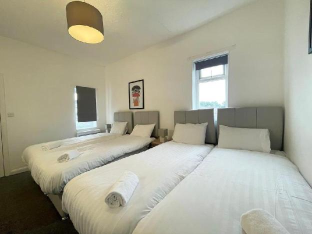 bloomfield apartments by sasco
