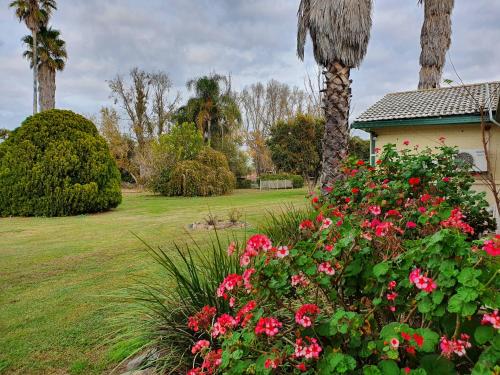 the aston motel tamworth