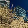 nagoya jr gate tower hotel
