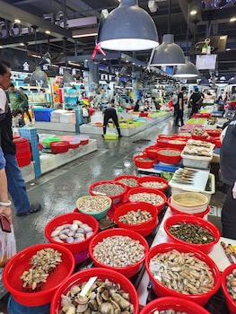 grade hotel shenzhen shekou sea world