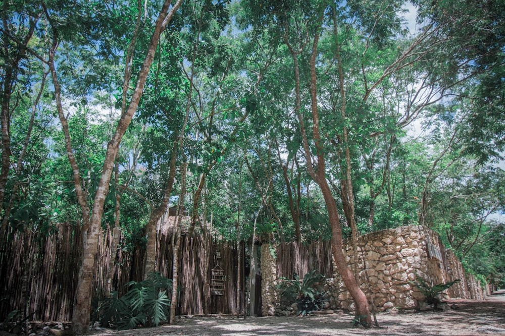 pepem holistic experience adults only