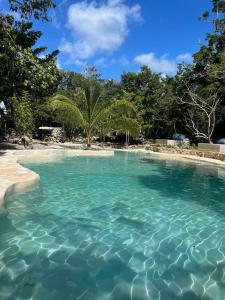 pepem holistic experience adults only