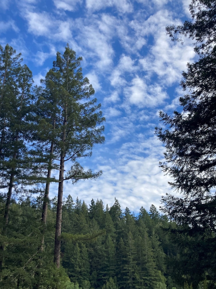 guerneville
