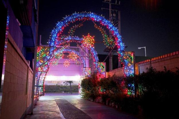 paju cinderella