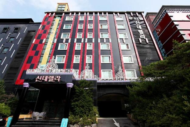 paju cinderella