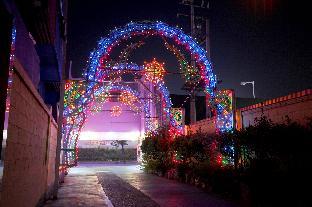 paju cinderella