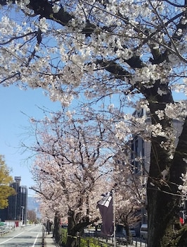 Hotel Hatta,Near Mars Yamanashi Winery,3 star