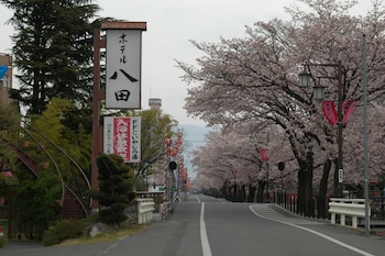 Hotel Hatta,Near Mars Yamanashi Winery,3 star