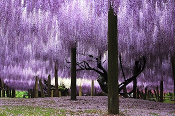 art hotel kokura new tagawa