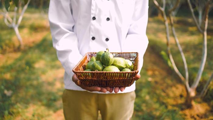 anantvan ranthambore by greetoe resorts