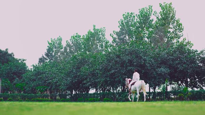 anantvan ranthambore by greetoe resorts