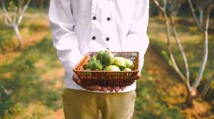 anantvan ranthambore by greetoe resorts