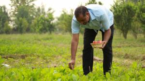 anantvan ranthambore by greetoe resorts