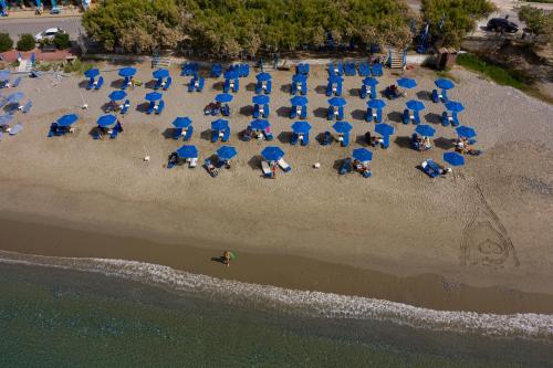 alianthos beach hotel