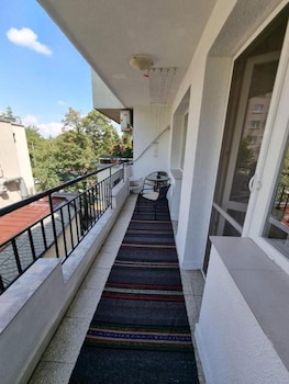 sofia
