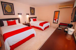 eco city hoteles