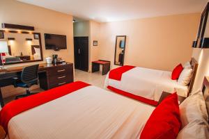 eco city hoteles