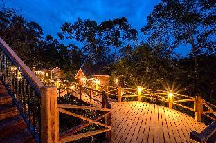 chimpundu lodge