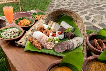 wild glamping gal oya