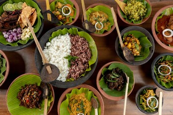 wild glamping gal oya