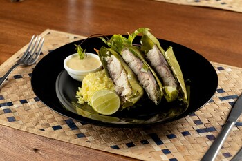 wild glamping gal oya