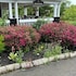 baddeck