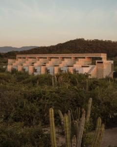 terrestre a member of design hotels