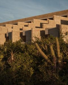 terrestre a member of design hotels
