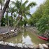 bali slow