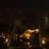 bali slow
