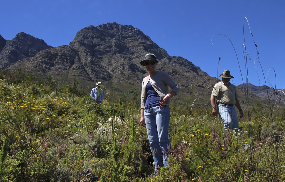 bartholomeus klip farmhouse
