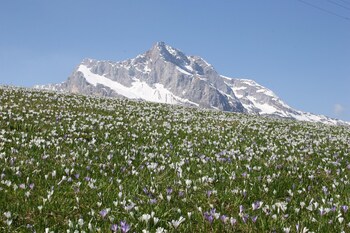 albergo diffuso sauris in sauris di sopra