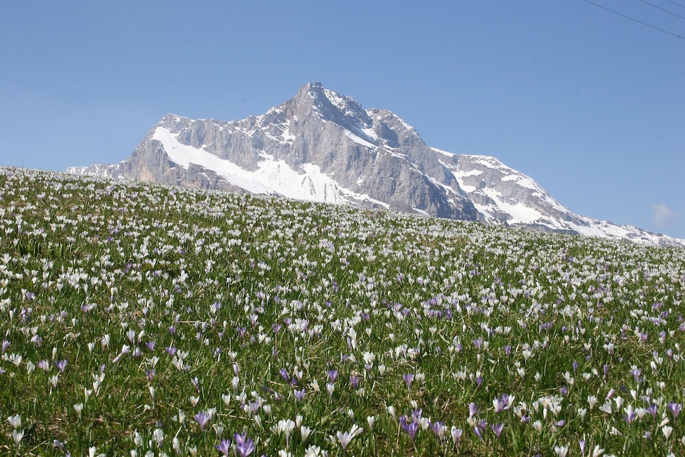 albergo diffuso sauris in sauris di sopra