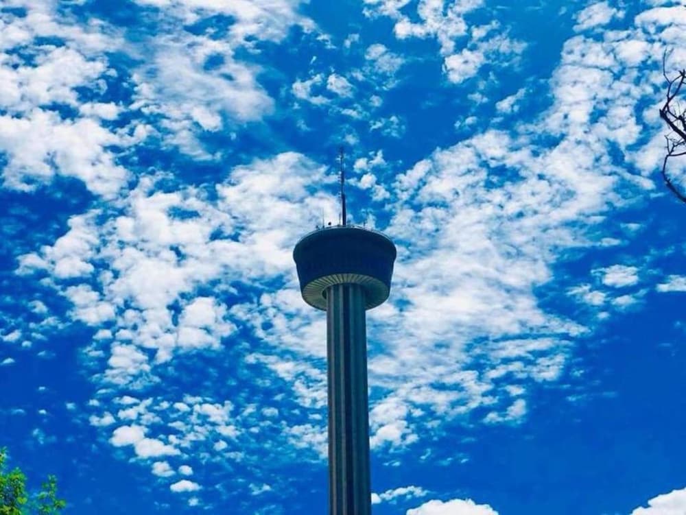 spectacular cozy 3 br plus 2 and a half ba apt near downtown